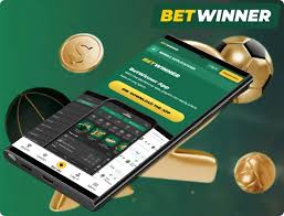 Experience the Excitement of BetWinner Live Casino Experience the Excitement of BetWinner Live Casino